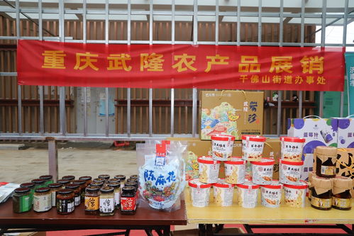 歷下區(qū)千佛山街道東西部協(xié)作農(nóng)特產(chǎn)品惠民專(zhuān)場(chǎng)助力農(nóng)副產(chǎn)品銷(xiāo)售