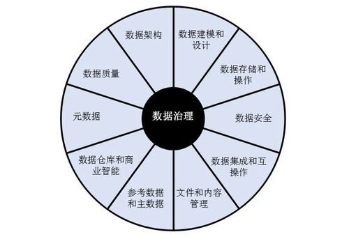解密DAMA DMBoK框架 構(gòu)建高效數(shù)據(jù)處理能力的綜合方法